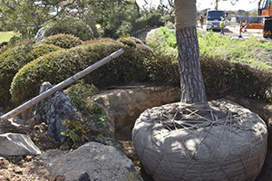 今西造園について