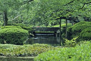 完成・お引渡し