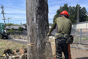 支障木など伐採工事