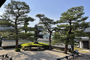 寺社仏閣の剪定